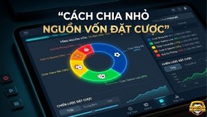 cach-chia-nho-nguon-von-dat-cuoc